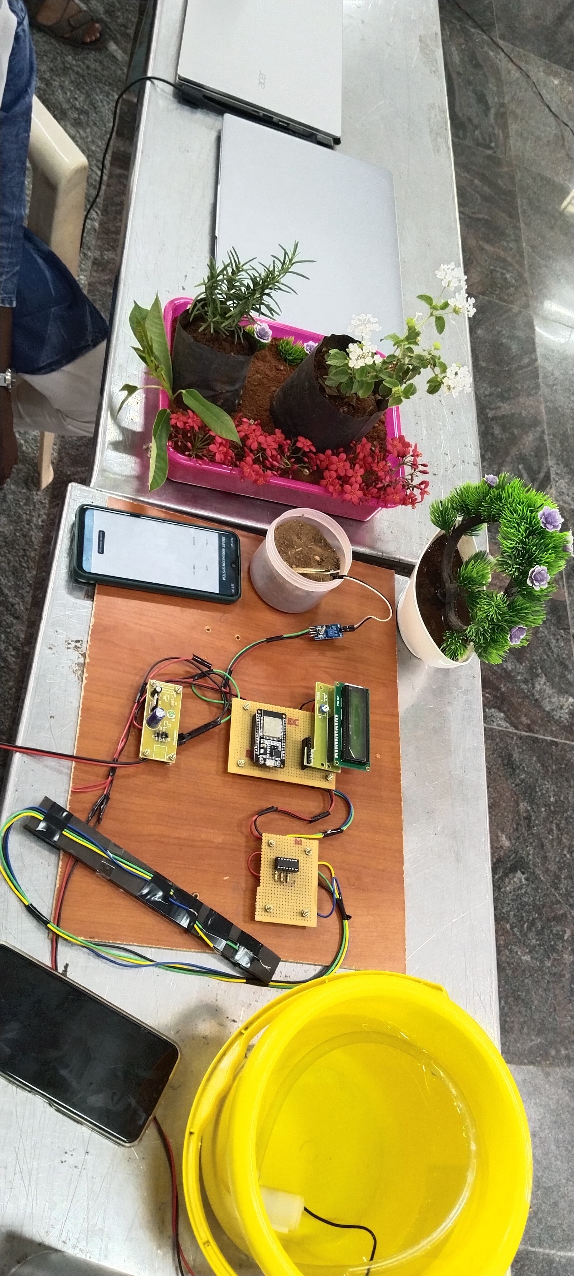 智能植物养护系统的传感器与控制原型